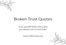 Broken Trust Quotes Broken Trust Quotes